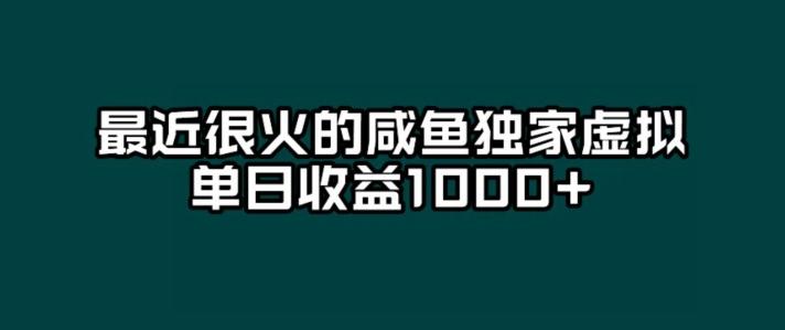 最近很火的咸鱼独家虚拟，单日收益1000+-有道资源网