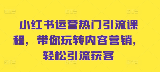 小红书运营热门引流课程，带你玩转内容营销，轻松引流获客-有道资源网