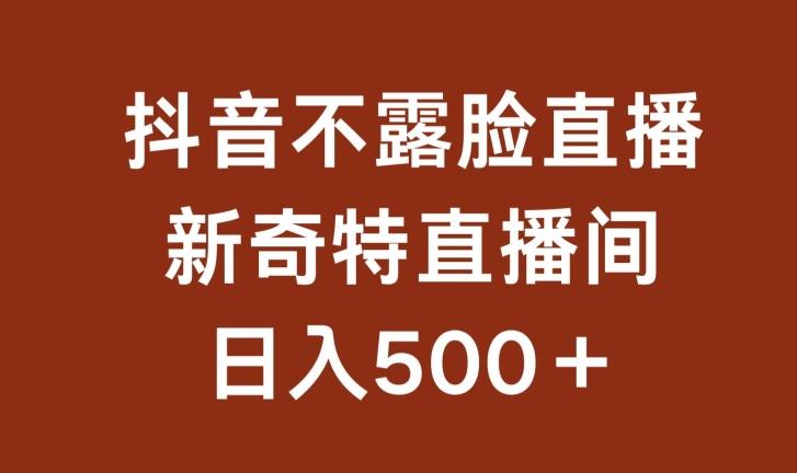 不露脸挂机直播，新奇特直播间，日入500+【揭秘】-有道资源网