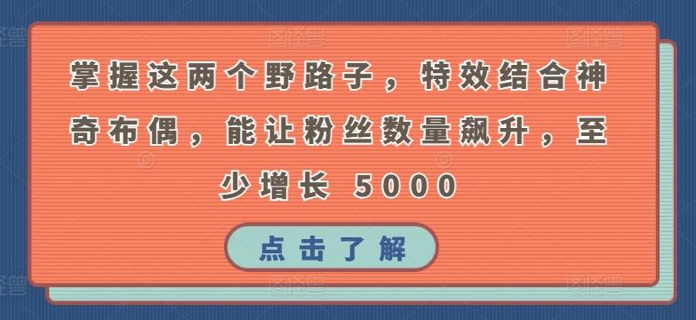 掌握这两个野路子，特效结合神奇布偶，能让粉丝数量飙升，至少增长 5000【揭秘】-有道资源网