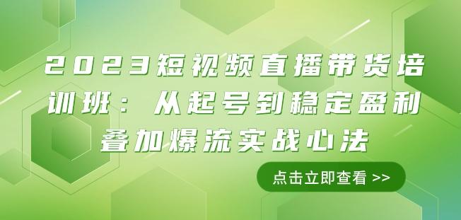 2023短视频直播带货培训班：从起号到稳定盈利叠加爆流实战心法（11节课）-有道资源网