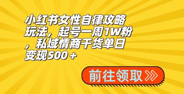 小红书女性自律攻略玩法，起号一周1W粉，私域情商干货单日变现500＋-有道资源网