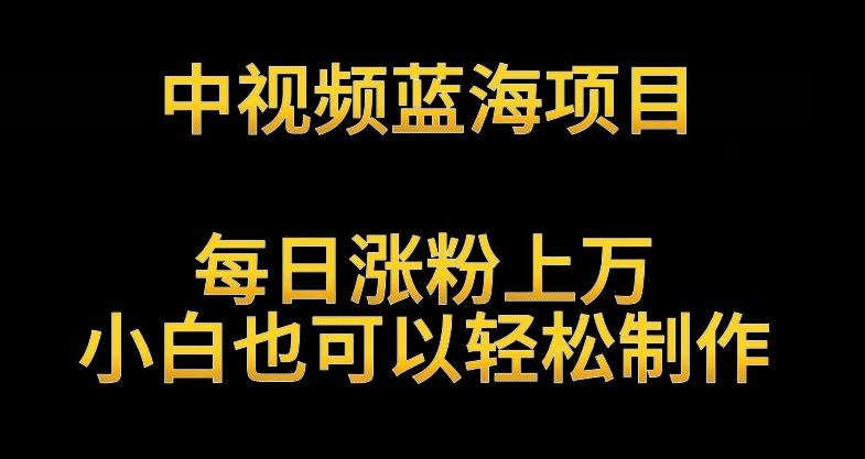 中视频蓝海项目，解读英雄人物生平，每日涨粉上万，小白也可以轻松制作，月入过万不是梦【揭秘】-有道资源网