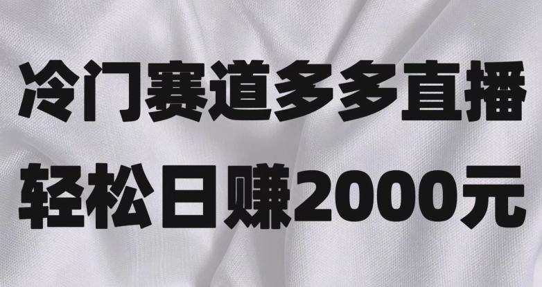 冷门赛道拼多多直播，简单念稿子，日收益2000＋【揭秘】-有道资源网