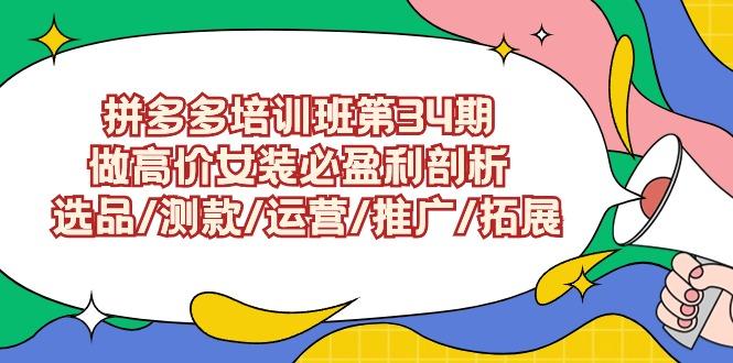 (9333期)拼多多培训班第34期：做高价女装必盈利剖析  选品/测款/运营/推广/拓展-有道资源网