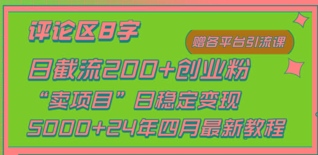 (9851期)评论区8字日载流200+创业粉  日稳定变现5000+24年四月最新教程！-有道资源网