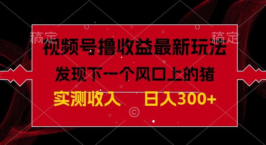 视频号分成计划最新玩法，单条作品几分钟制作完成,日入300+，过年前最后的冲刺-有道资源网