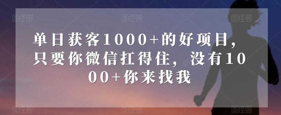 单日获客1000+的好项目，只要你微信扛得住，没有1000+你来找我【揭秘】-有道资源网