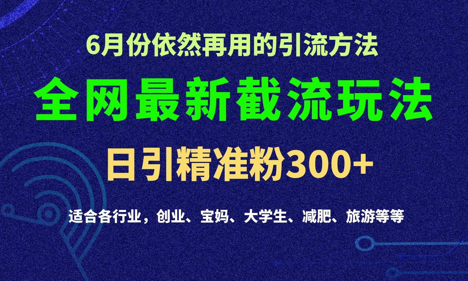 2024全网最新截留玩法，每日引流突破300+-有道资源网