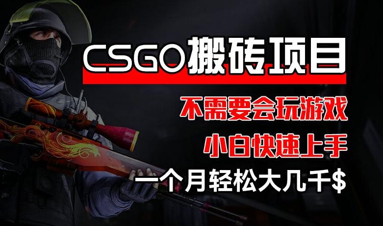 CSGO 装备搬砖项目，操作简单，不需要会玩游戏，小白也能快速上手，一个月轻松大几千【揭秘】-有道资源网