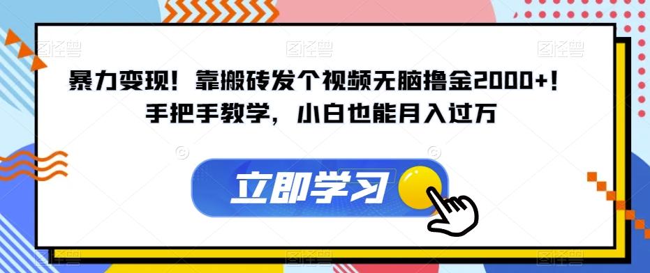 暴力变现！靠搬砖发个视频无脑撸金2000+！手把手教学，小白也能月入过万【揭秘】-有道资源网