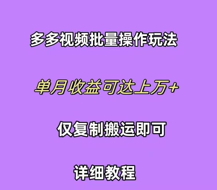 (10029期)拼多多视频带货快速过爆款选品教程 每天轻轻松松赚取三位数佣金 小白必…-有道资源网