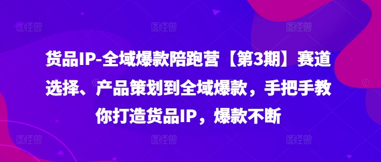 货品IP全域爆款陪跑营【第3期】赛道选择、产品策划到全域爆款，手把手教你打造货品IP，爆款不断-有道资源网