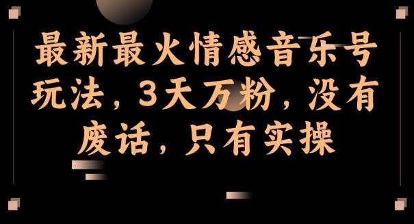 最新最火情感音乐号玩法，3天万粉，没有废话，只有实操-有道资源网