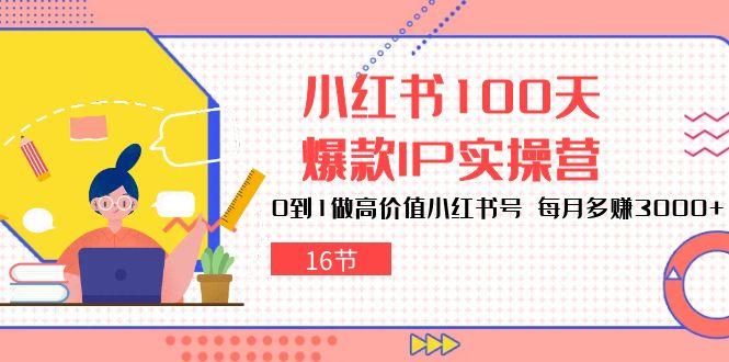 小红书100天-爆款IP实操营，0到1做高价值小红书号 每月多赚3000+(16节-有道资源网