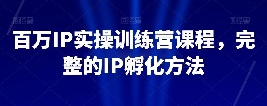 百万IP实操训练营课程，完整的IP孵化方法-有道资源网