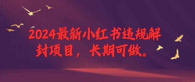 2024最新小红书违规解封项目，长期可做，一个可以做到退休的项目【揭秘】-有道资源网