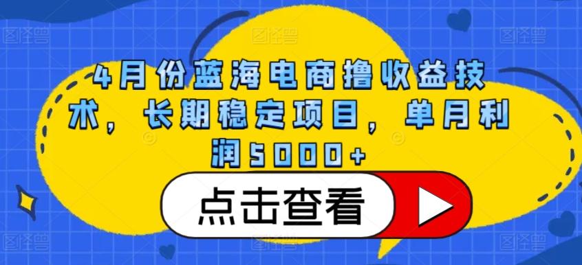 4月份蓝海电商撸收益技术，长期稳定项目，单月利润5000+【揭秘】-有道资源网