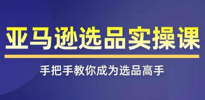 亚马逊选品实操课程，快速掌握亚马逊选品的技巧，覆盖亚马逊选品所有渠道-有道资源网