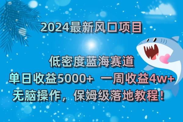 (8545期)2024最新风口项目 低密度蓝海赛道，日收益5000+周收益4w+ 无脑操作，保…-有道资源网