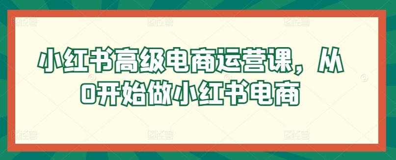 小红书高级电商运营课，从0开始做小红书电商-有道资源网