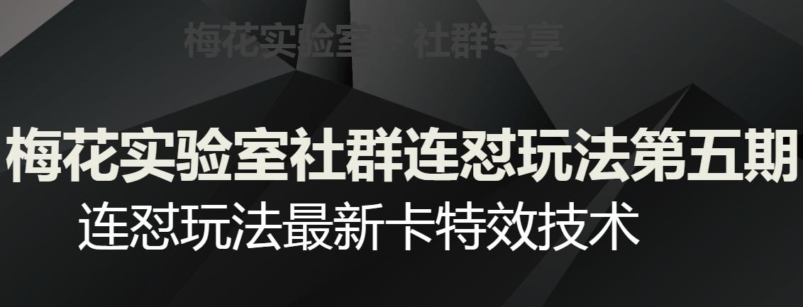 梅花实验室社群连怼玩法第五期，视频号连怼玩法最新卡特效技术-有道资源网