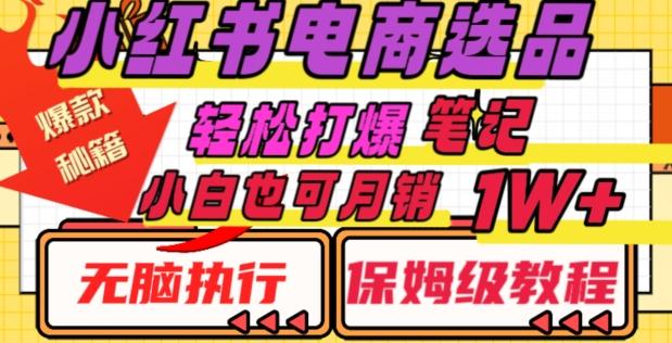 小红书电商爆款选品秘籍，帮你轻松打爆笔记，小白也可轻松月销10000+-有道资源网