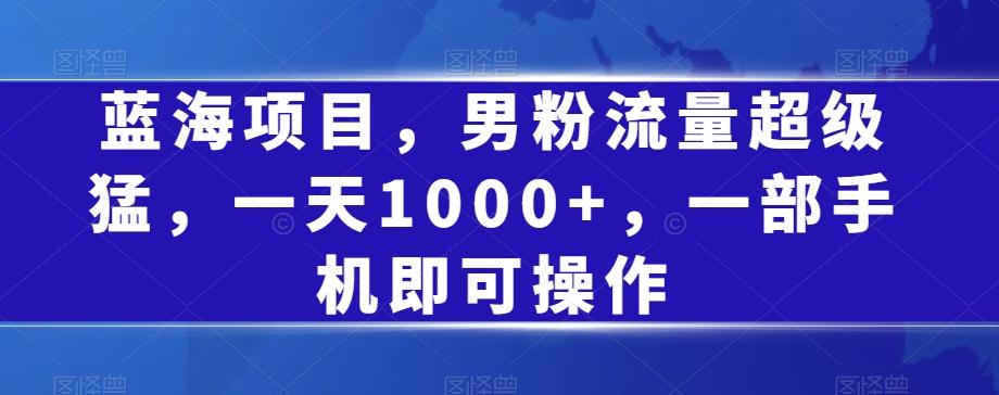 蓝海项目，男粉流量超级猛，一天1000+，一部手机即可操作【揭秘】-有道资源网