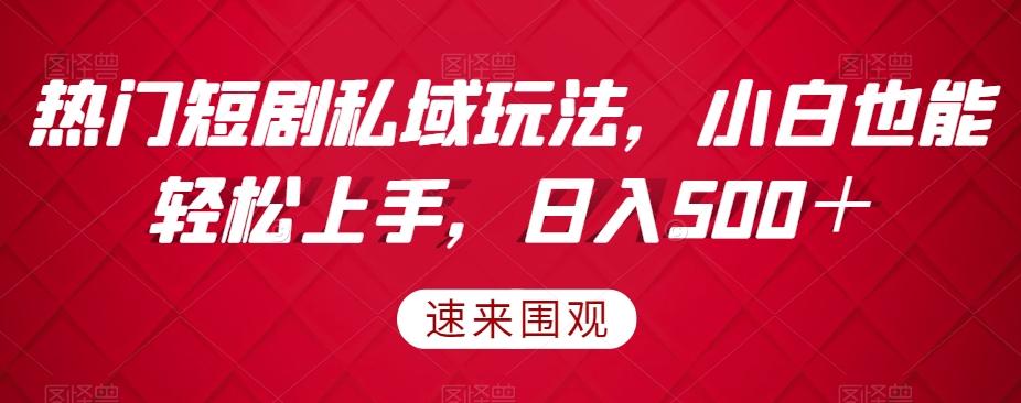 热门短剧私域玩法，小白也能轻松上手，日入500＋-有道资源网