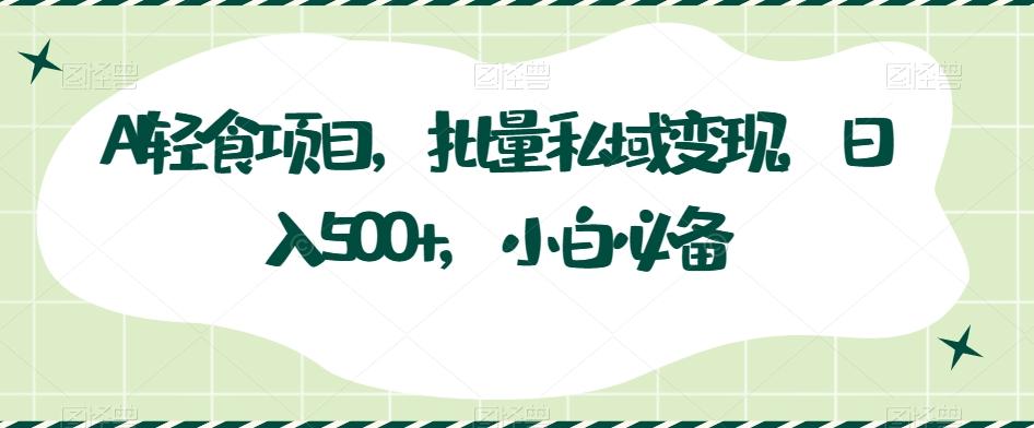 AI轻食项目，批量私域变现，日入500+，小白必备-有道资源网