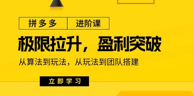 拼多多·进阶课：极限拉升/盈利突破：从算法到玩法 从玩法到团队搭建-18节-有道资源网