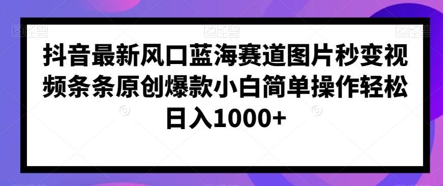 抖音最新风口蓝海赛道图片秒变视频条条原创爆款小白简单操作轻松日入1000+-有道资源网