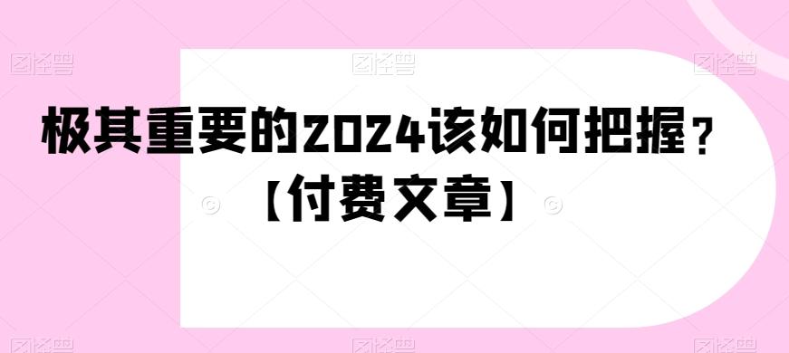 极其重要的2024该如何把握？【付费文章】-有道资源网