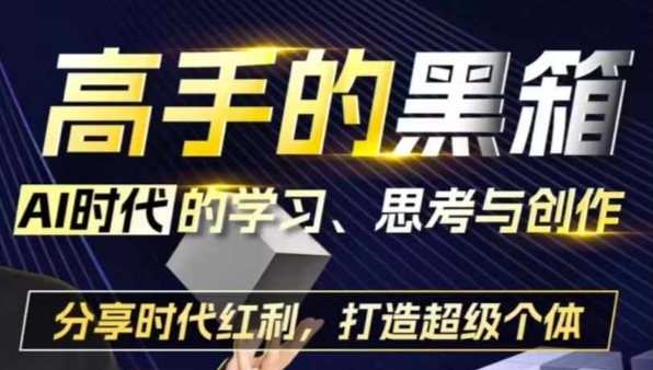 高手的黑箱：AI时代学习、思考与创作-分红时代红利，打造超级个体-有道资源网