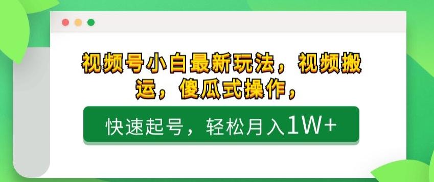 视频号小白最新玩法，视频搬运，傻瓜式操作，快速起号，轻松月入1W+-有道资源网