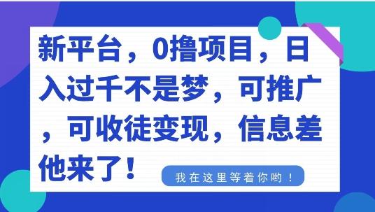 不要再花冤枉钱了，0撸项目，每天坚持，稳定1000+-有道资源网