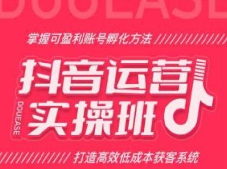 抖音运营实操班，掌握可盈利账号孵化方法，打造高效低成本获客系统-有道资源网