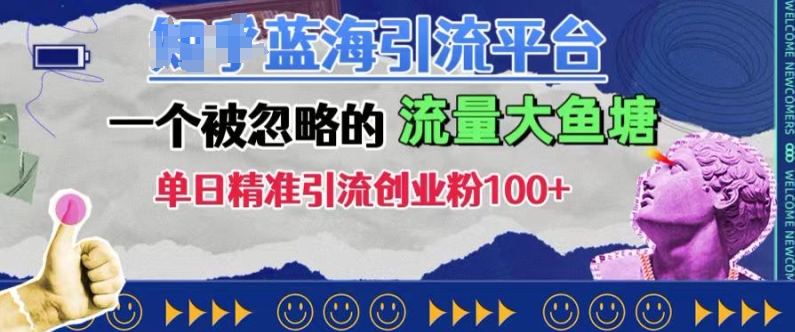 豆瓣蓝海引流平台，一个被忽略的流量大鱼塘，单日精准引流创业粉100+-有道资源网