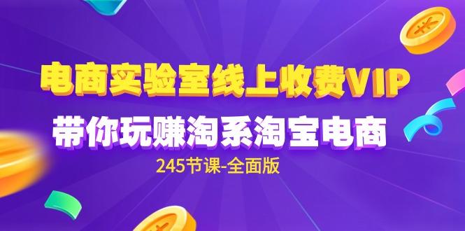 (9859期)电商-实验室 线上收费VIP，带你玩赚淘系淘宝电商(245节课-全面版)-有道资源网