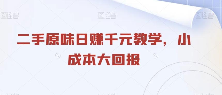 二手原味日赚千元教学，小成本大回报-有道资源网