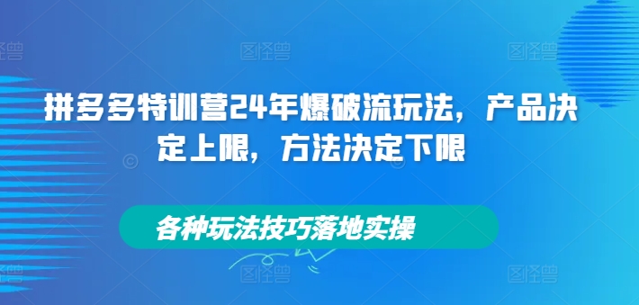 拼多多特训营24年爆破流玩法，产品决定上限，方法决定下限，各种玩法技巧落地实操-有道资源网