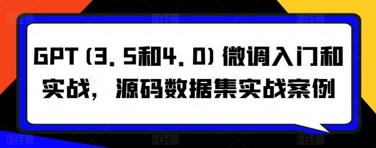 GPT(3.5和4.0)微调入门和实战，源码数据集实战案例-有道资源网