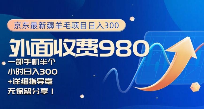 京东最新薅羊毛项目小白怎么做到日入300+一部手机半小时搞定-有道资源网