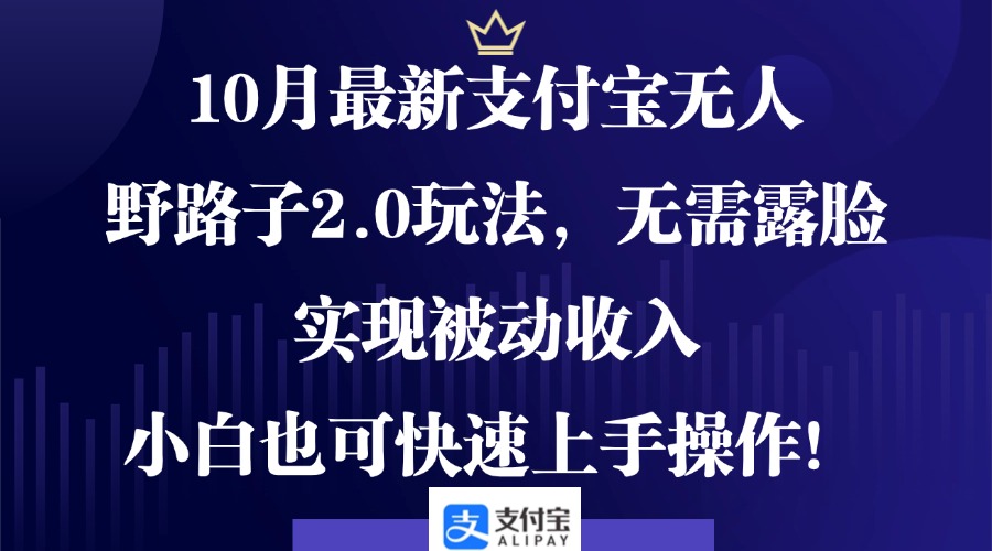 10月最新支付宝无人野路子2.0玩法，无需露脸，实现被动收入，小白也可…-有道资源网