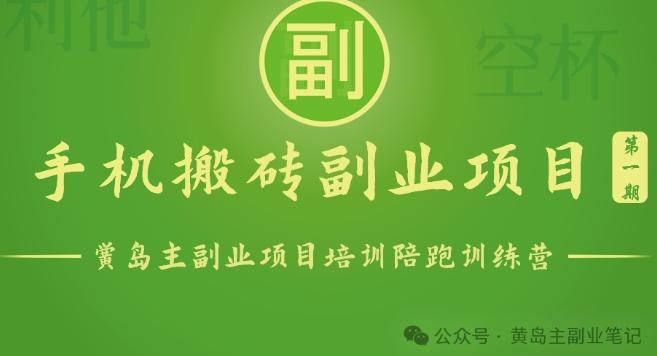 手机搬砖小副业项目训练营1.0，实测1小时收益50+，一部手机轻松日入100+-有道资源网