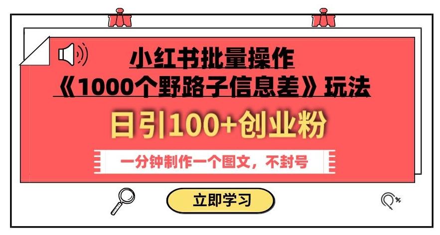 小红书批量操作《1000个野路子信息差》玩法，一分钟制作一个图文，不封号，日引100+创业粉-有道资源网