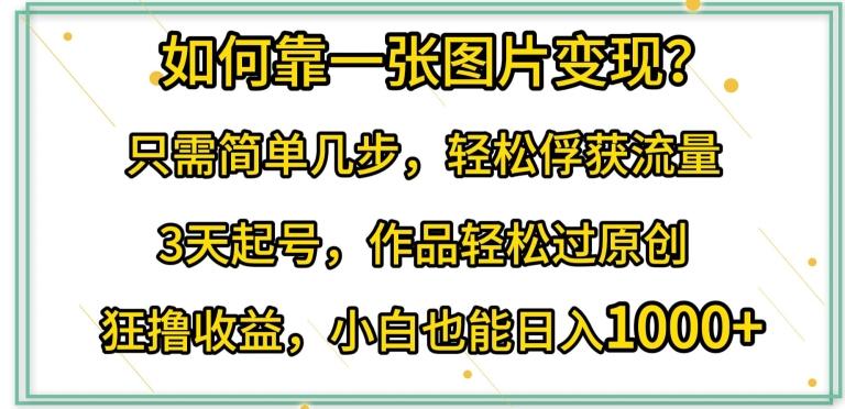 如何靠一张图片变现?只需简单几步，轻松俘获流量，3天起号，作品轻松过原创【揭秘】-有道资源网