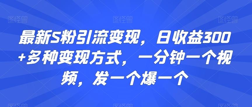 最新S粉引流变现，日收益300+多种变现方式，一分钟一个视频，发一个爆一个【揭秘】-有道资源网