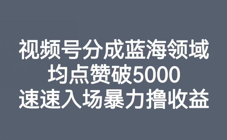 视频号分成蓝海领域，均点赞破5000，速速入场暴力撸收益-有道资源网