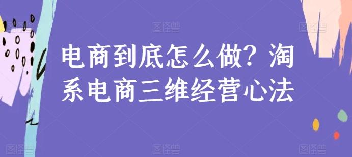 电商到底怎么做？淘系电商三维经营心法-有道资源网